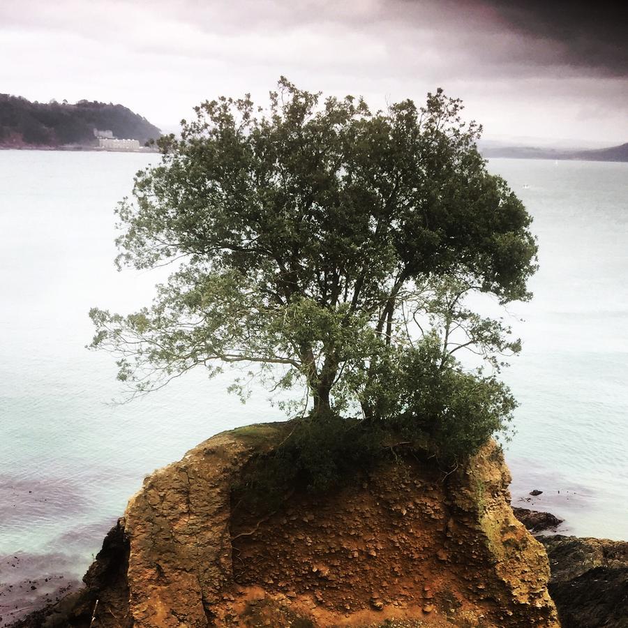 Westcroft Guesthouse Boutique B & B Cawsand Εξωτερικό φωτογραφία